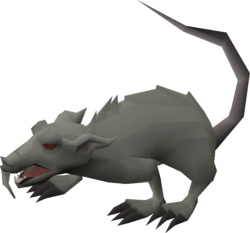 Giant rat.png